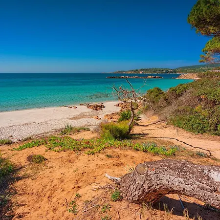 Appartement Rina Sea 4 People Alghero